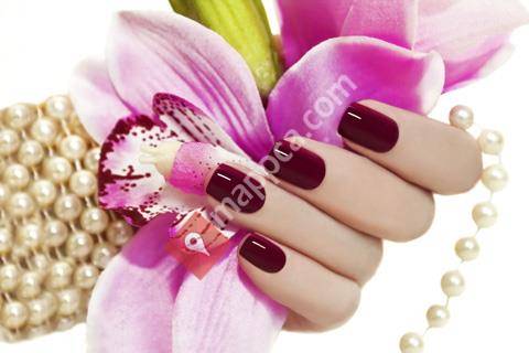 American Nails Spa Inc
