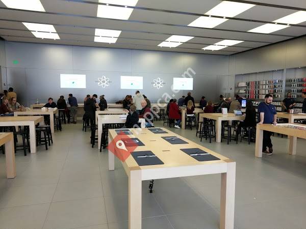 Apple New Haven