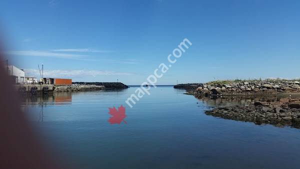 Argent Fisheries