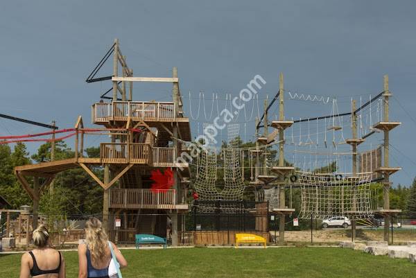 Ascent Aerial Park