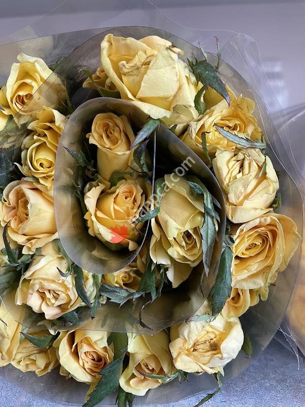 Bloomstar Bouquet