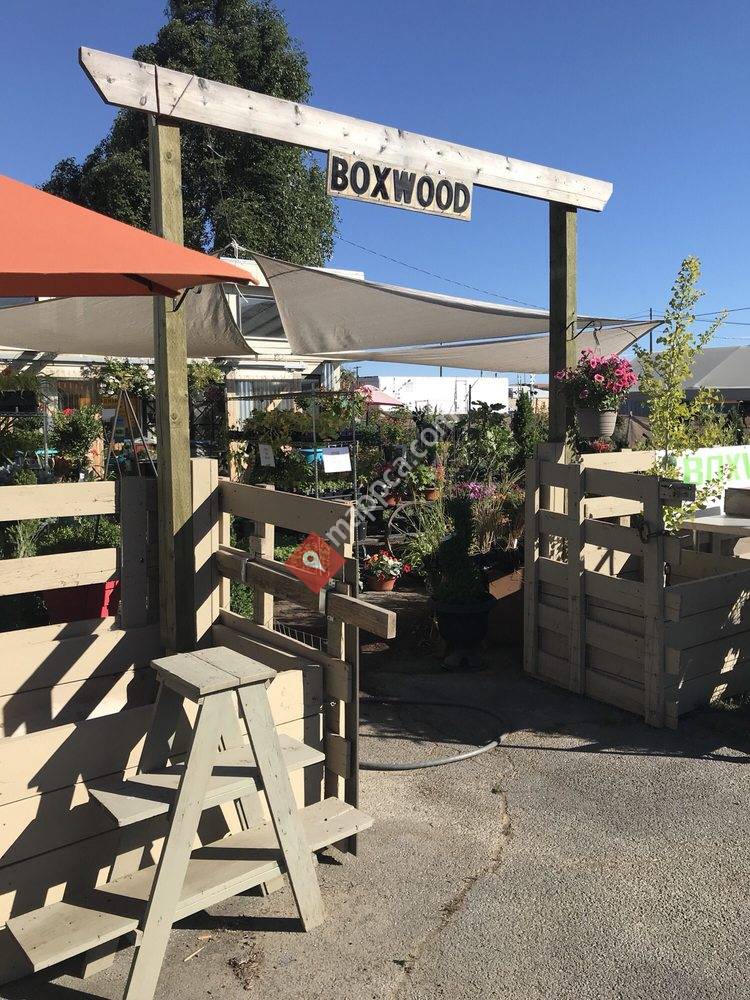 Boxwood Home and Garden