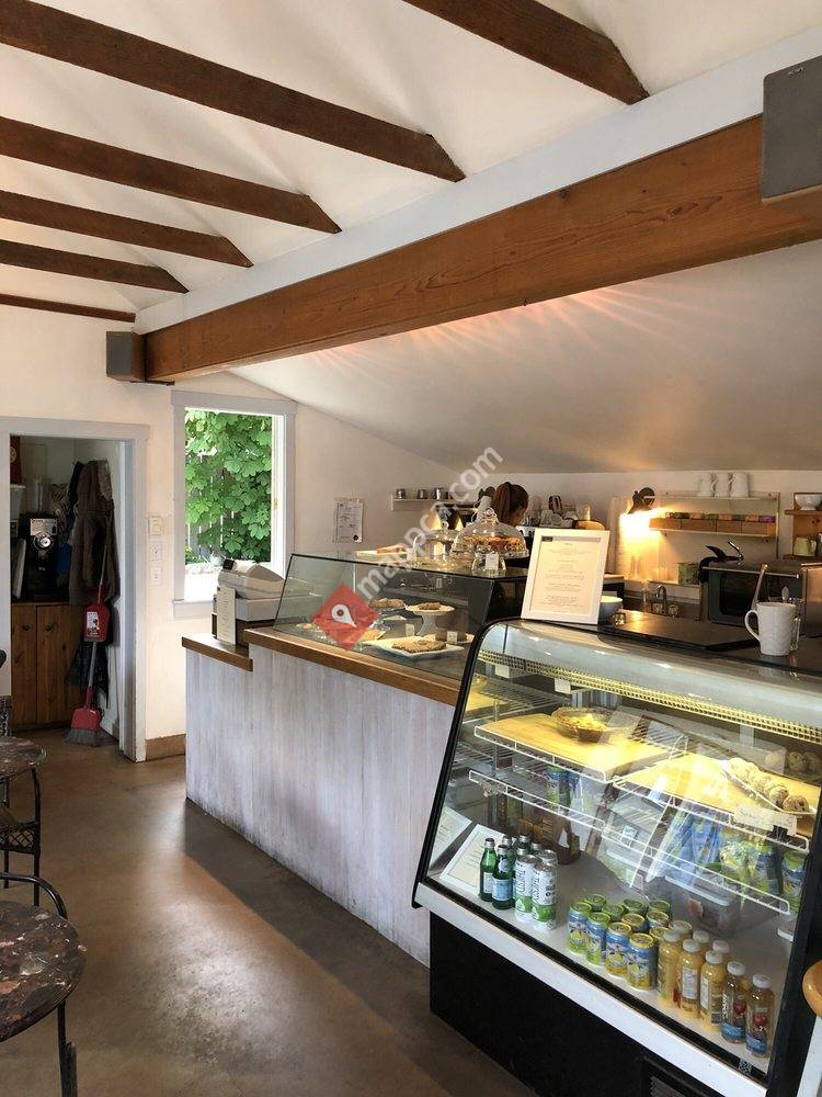 Cafe Talia