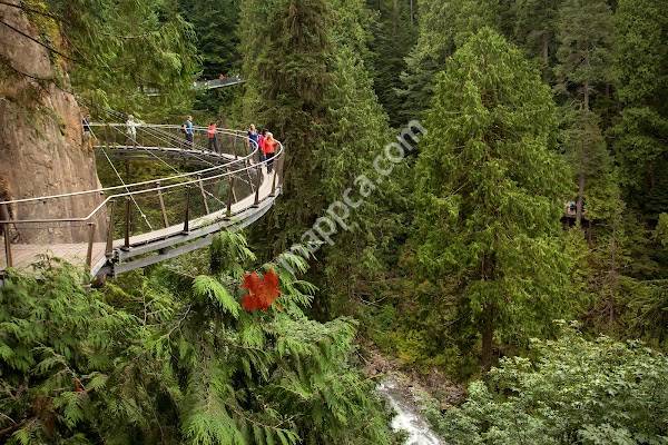 Cliffwalk