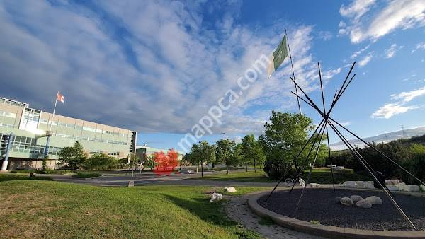 College Boreal