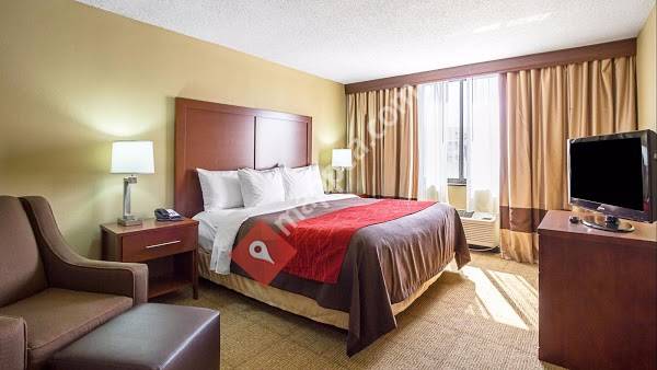 Comfort Inn Downtown