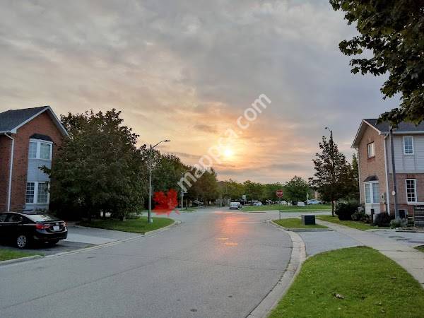 Creek Way Village