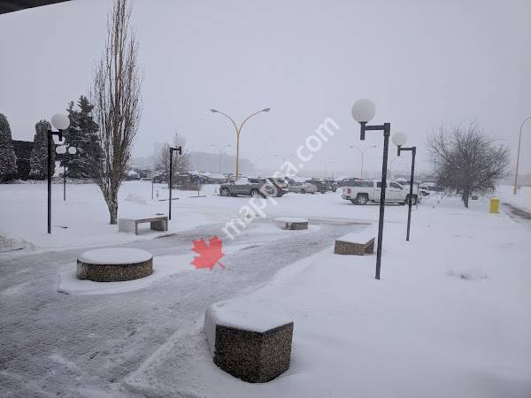 Dow Chemical Canada Ulc