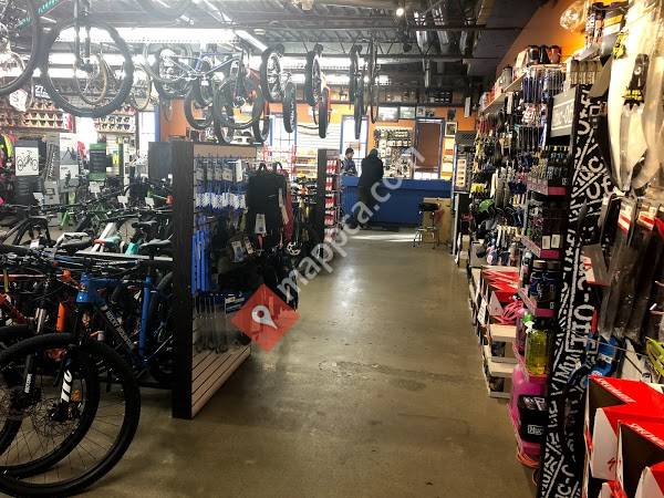 Dutch Cycle Repair
