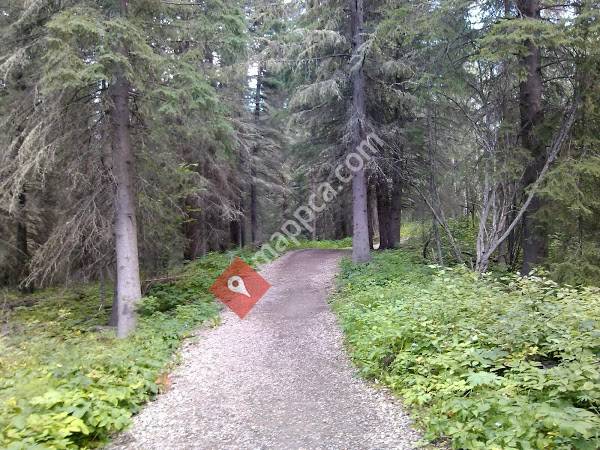 Fish Creek Community Forest