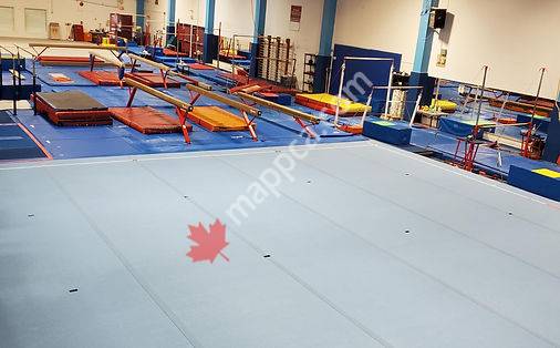 Flicka Gymnastics Club