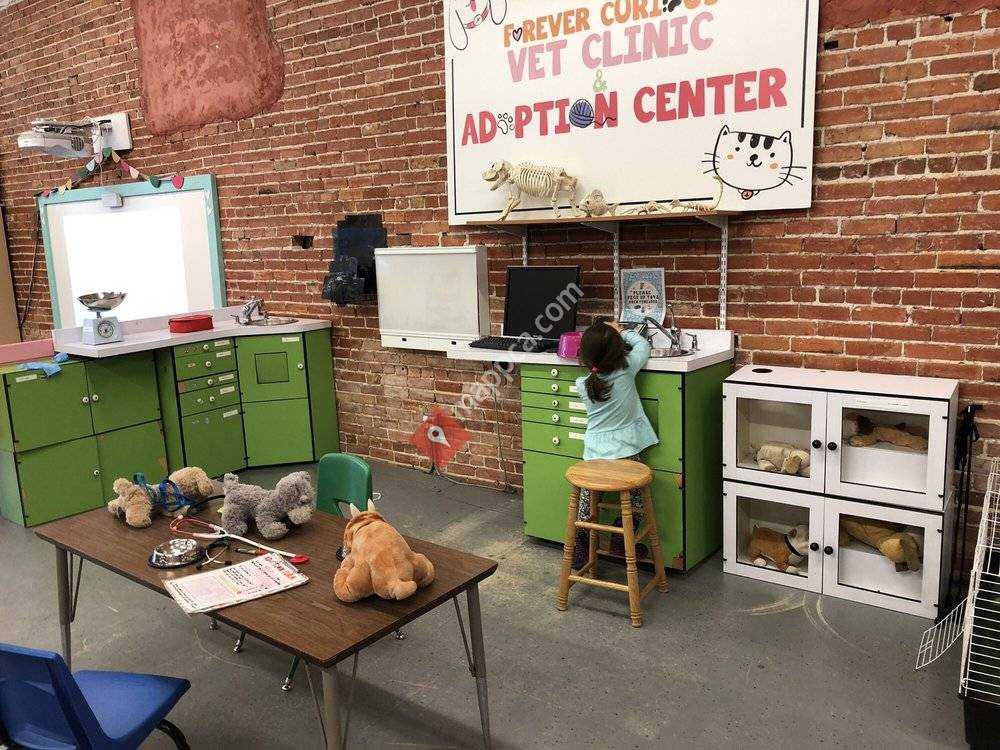 Forever Curious Children's Museum