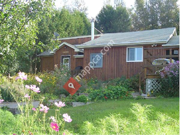 Foymount Farm Accommodations and Equine Retreat