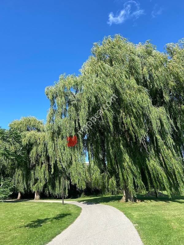 Garnetwood Park