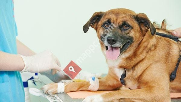 Haney Animal Hospital