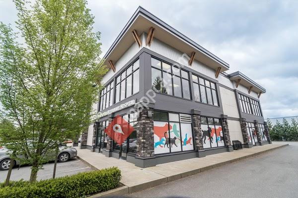 Head To Tail Veterinary Hospital