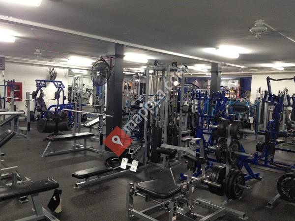 Iron Gym & Fitness