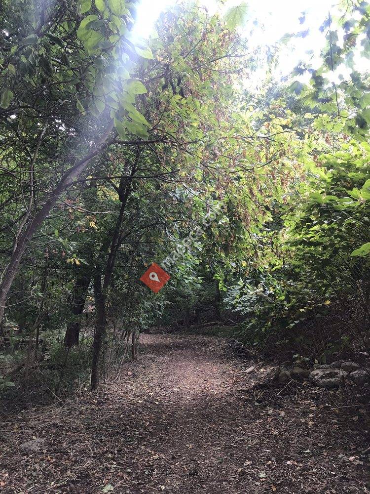 Jack Harrington Greenway