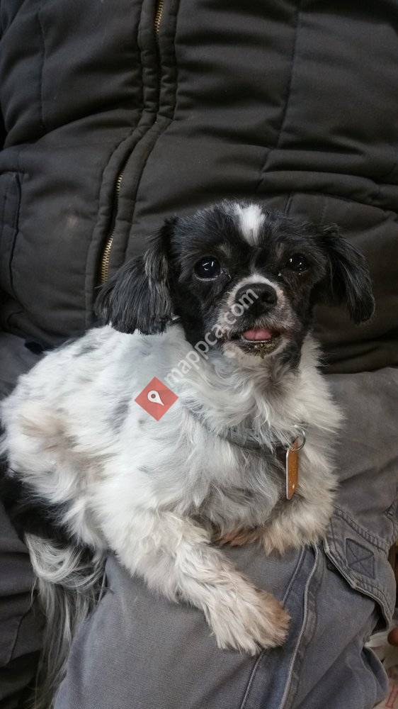 Joey's Bakery and Restaurant