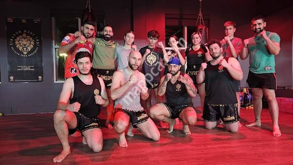 Kingdom Muay Thai & Fitness (King City)