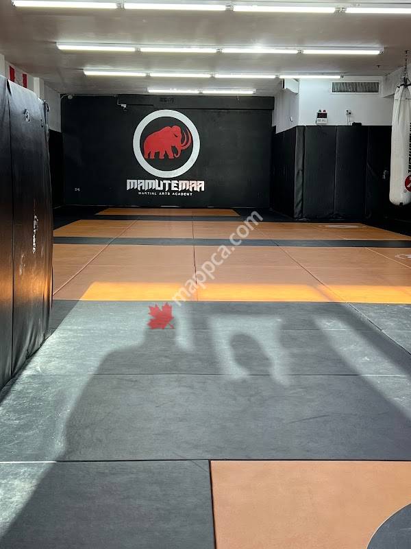 Mamute Martial Arts Academy - Oshawa, ON