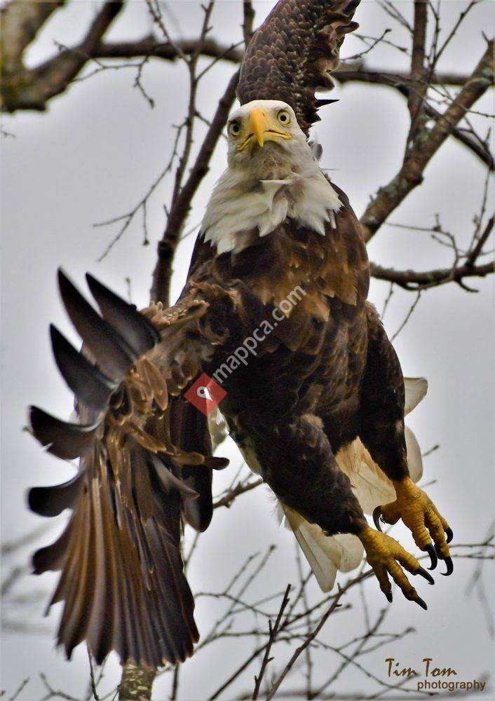National Eagle Center