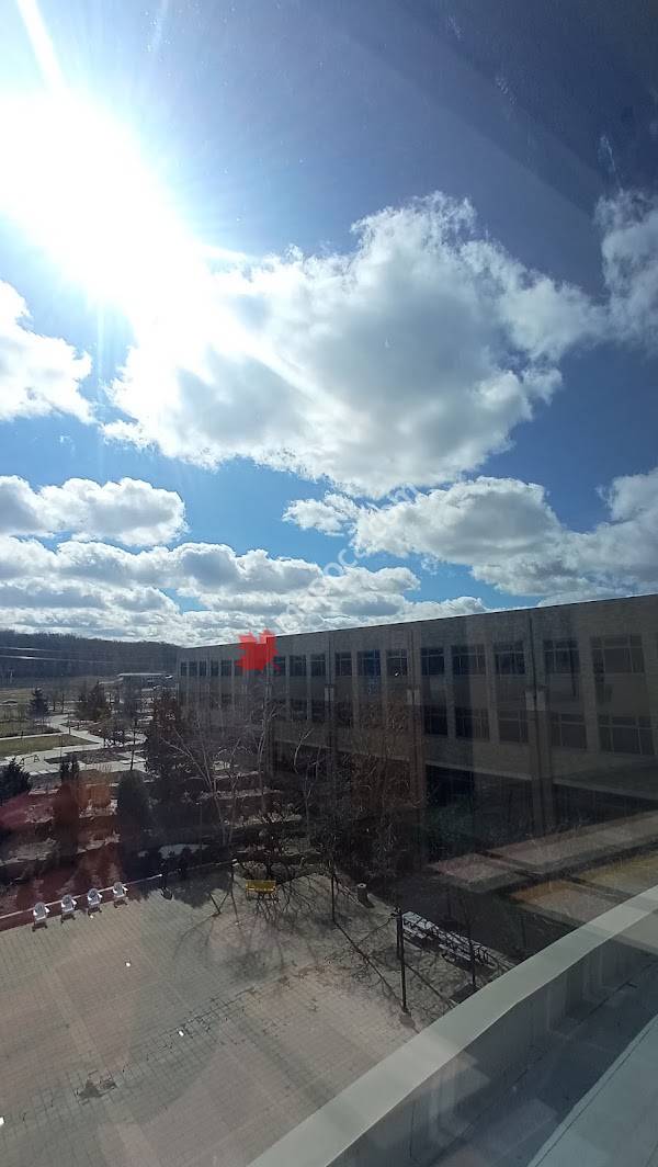 Niagara College