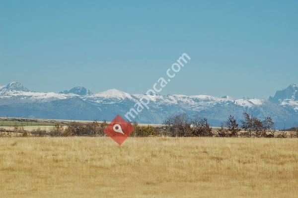 Nyle G Taylor CPA Chartered