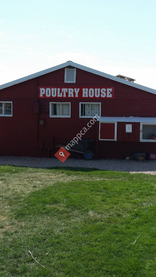Old MacDonald's Farm