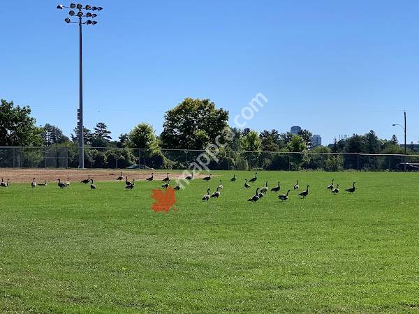 Parc Allen
