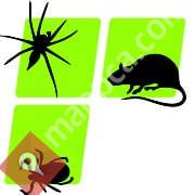 Protech Pest Control