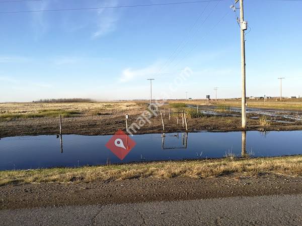 Quill Lake Co-op Oil