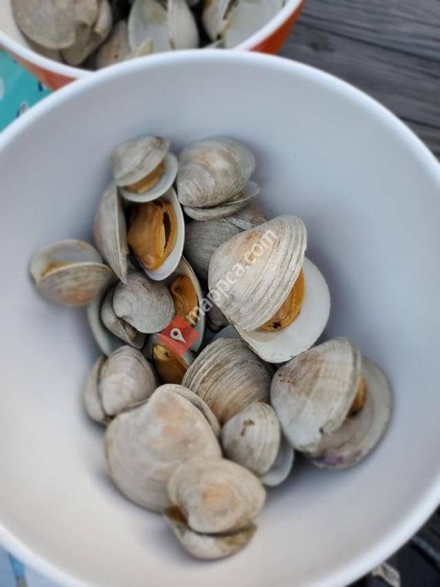 Rockland Clam Daddies