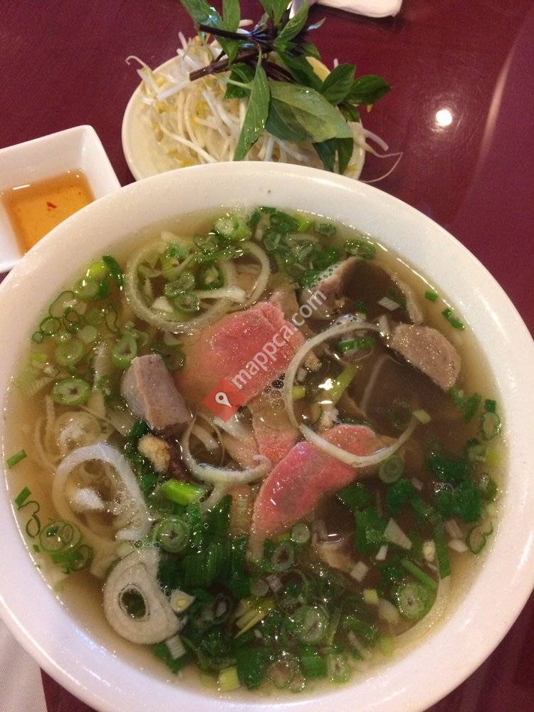 Saigon Ivy