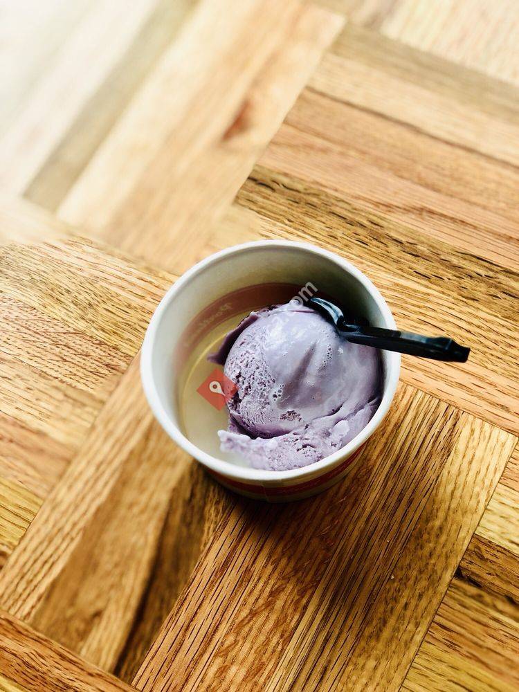 Salt & Straw