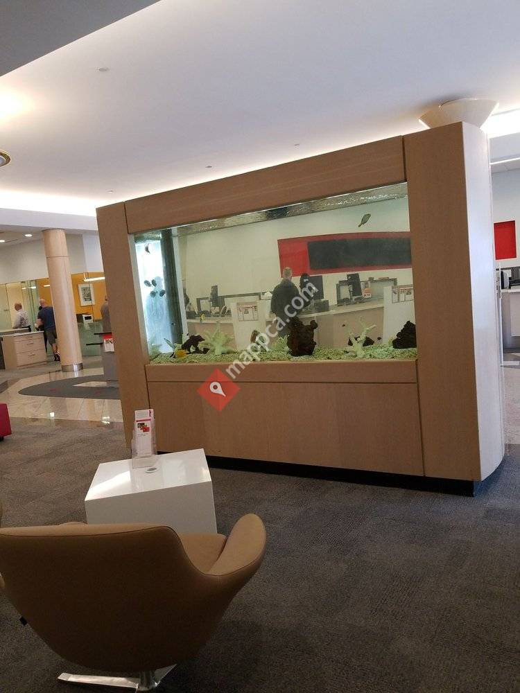 Scotiabank