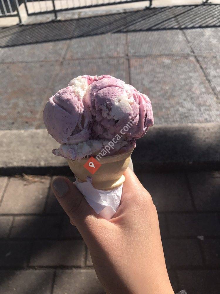 Slices N' Scoops