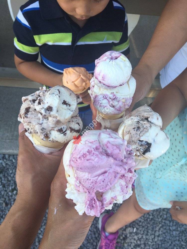 Sunflower Fields Ice Cream Shoppe