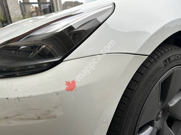 Tesla Collision