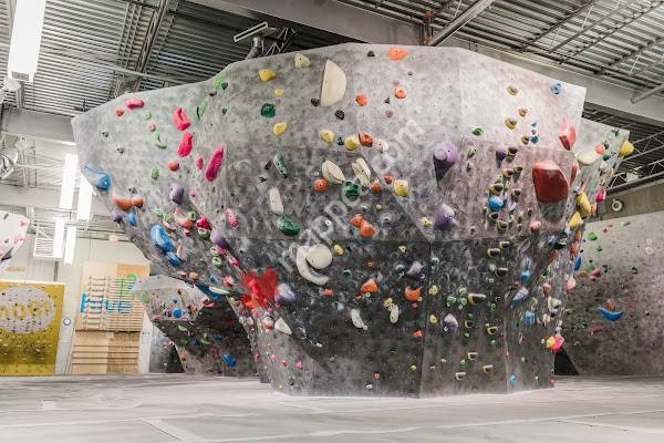 The Hive Bouldering Gym