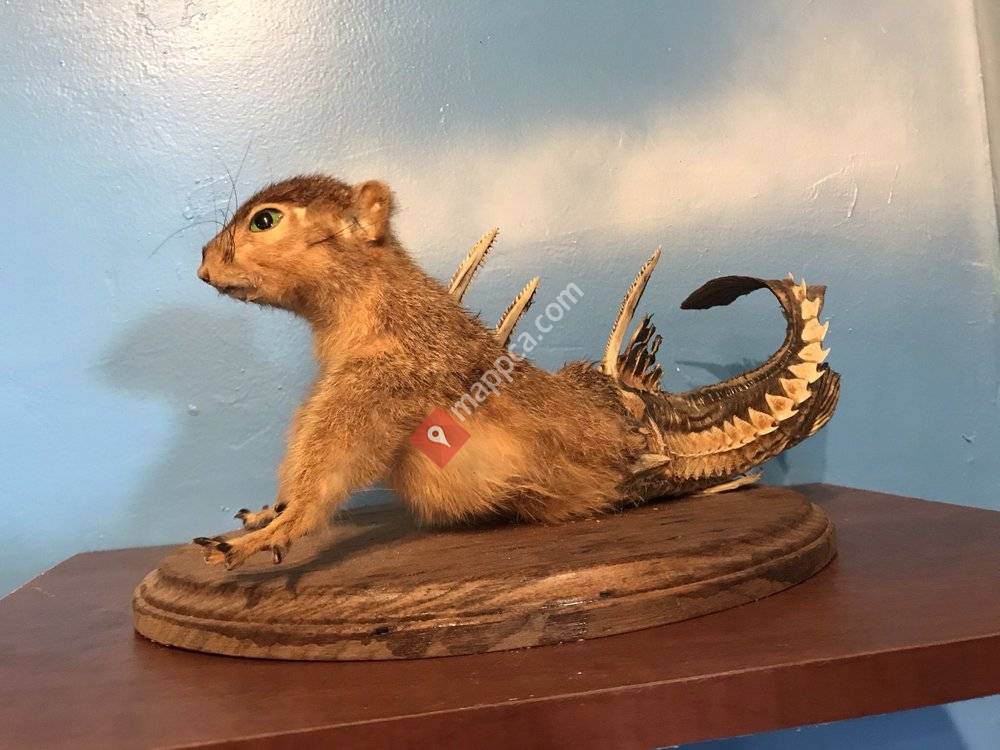 The Wacky Taxidermy and Miniatures Museum
