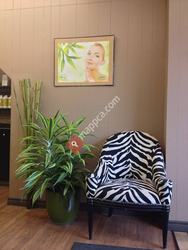 Transitions Hair Salon