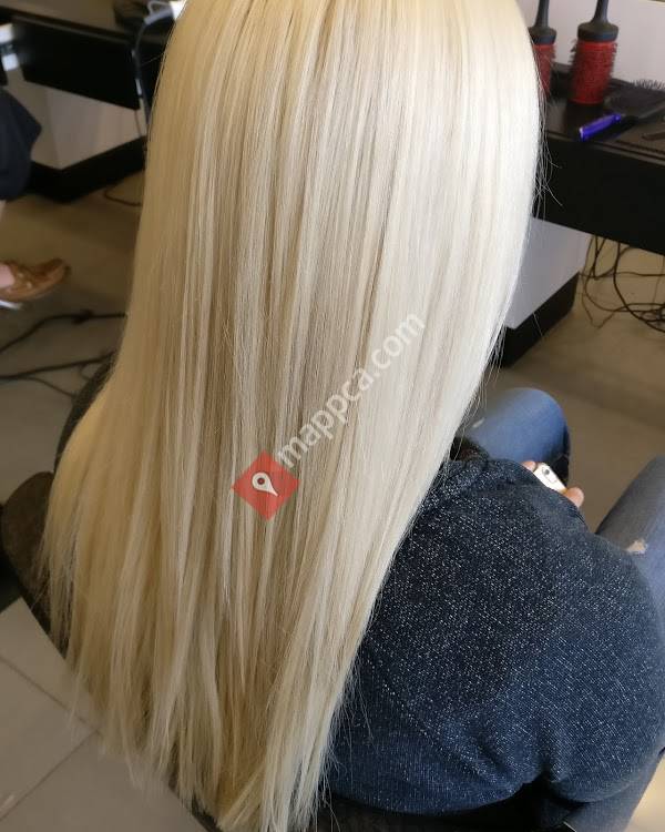 Trenz Hair Studio