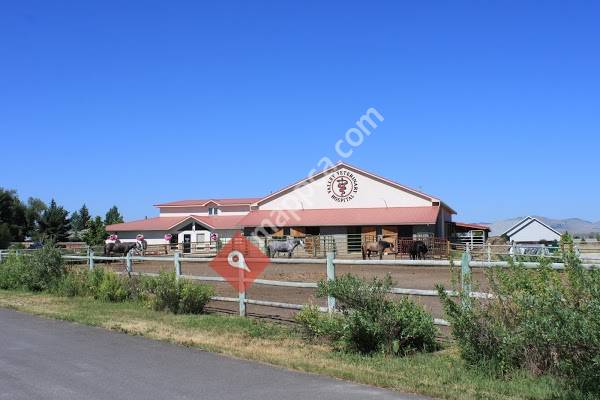 Valley Veterinary Hospital
