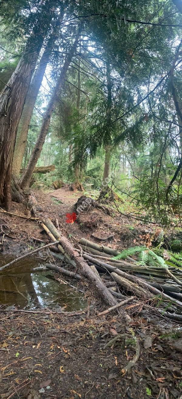 Walley Creek Trail