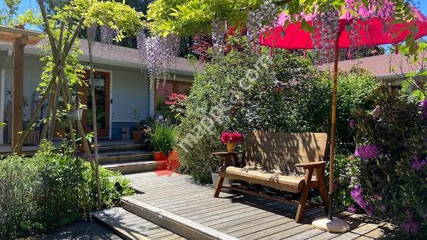 Wisteria Guest House