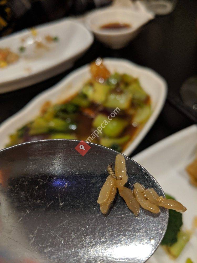 Yummy Yummy Japanese & Thai Cuisine